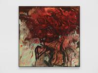 Date Picking | خراف التمر Date Picking | خراف التمر