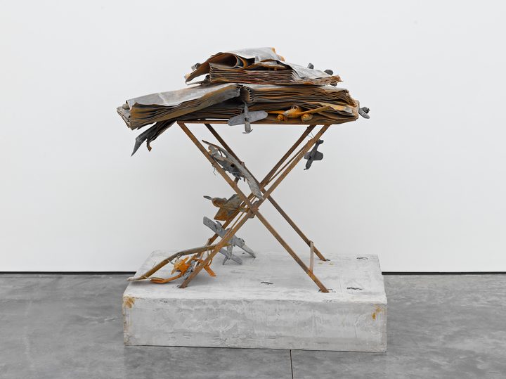 Anselm Kiefer — Dat rosa miel apibus