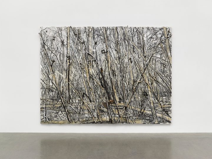 Anselm Kiefer — Der Gordische Knoten
