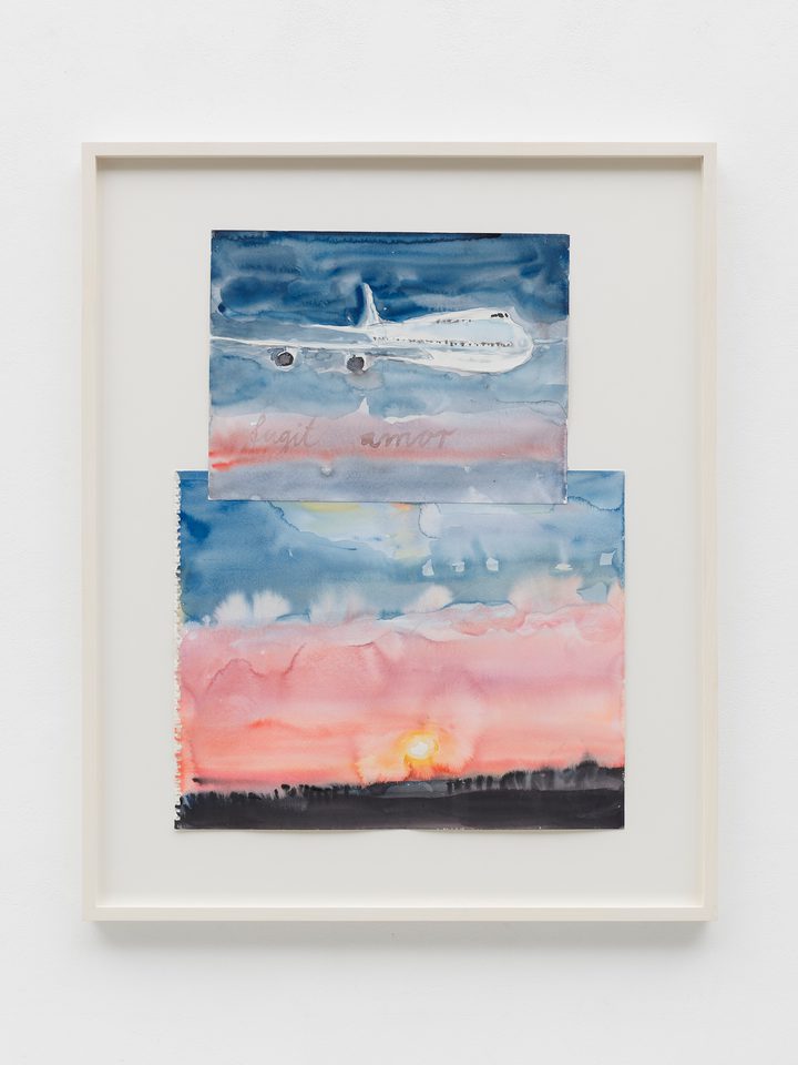 Anselm Kiefer — Fugit amor