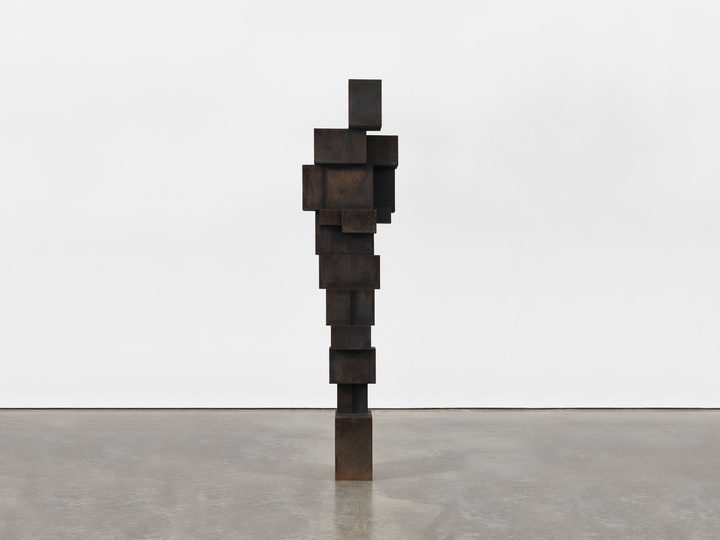 Antony Gormley — BIG GUT