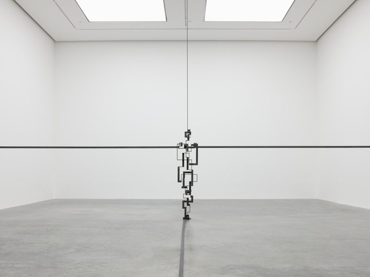 Antony Gormley — Bind