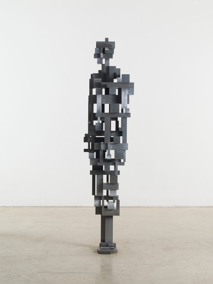 Antony Gormley — Build IV