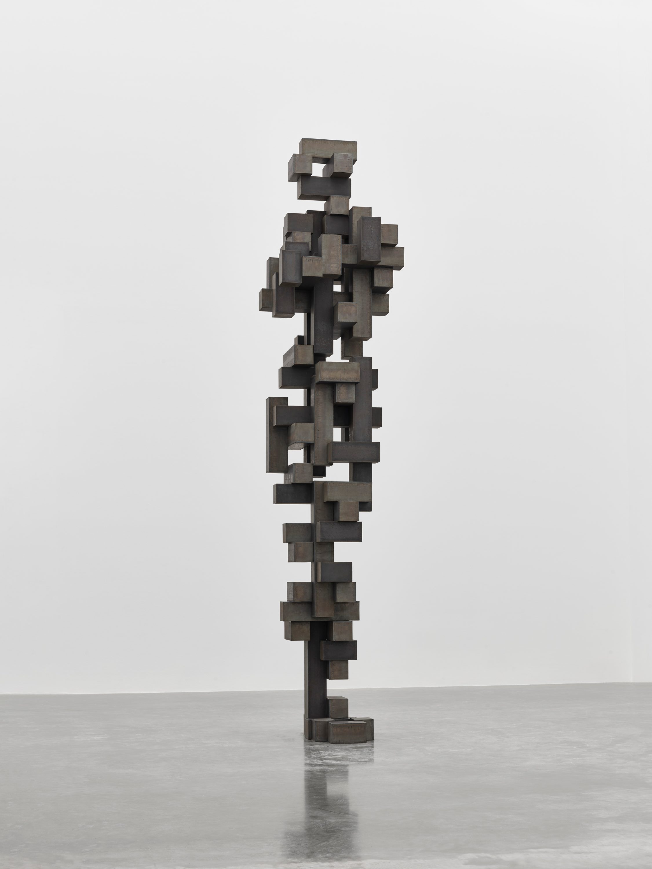 Antony Gormley - Stand - 6