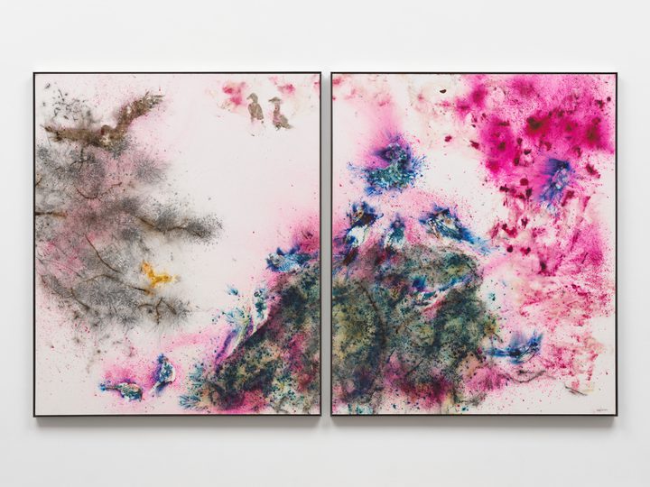 Cai Guo-Qiang — Outside My Window: April in the Year of Gengzi
