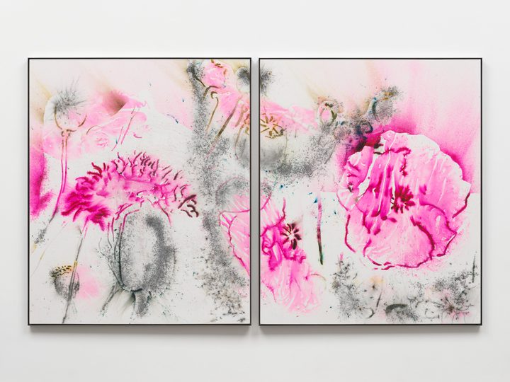 Cai Guo-Qiang — Pink Poppy No. 2