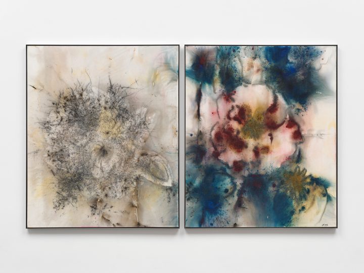 Cai Guo-Qiang — Poppy Series: Monochrome and Polychrome