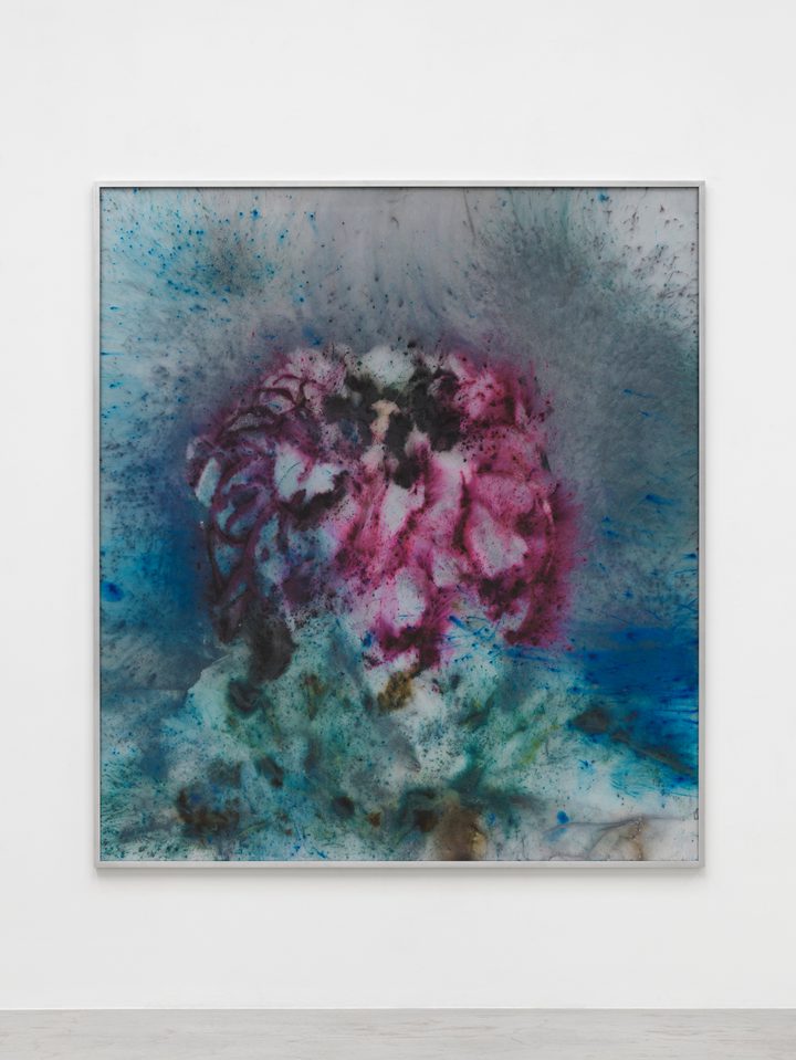 Cai Guo-Qiang — Snow Lotus No. 1