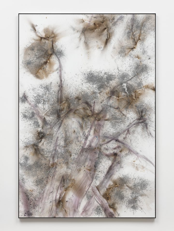 Cai Guo-Qiang — Study for NGV: Aged Cypress