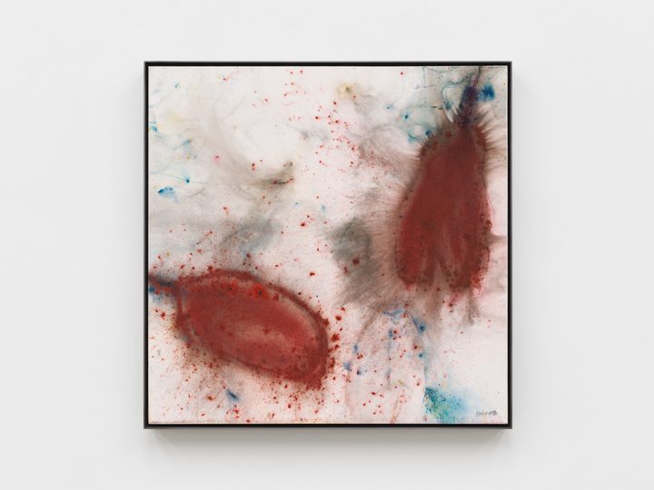 Cai Guo-Qiang — Study for Uffizi: D Untitled