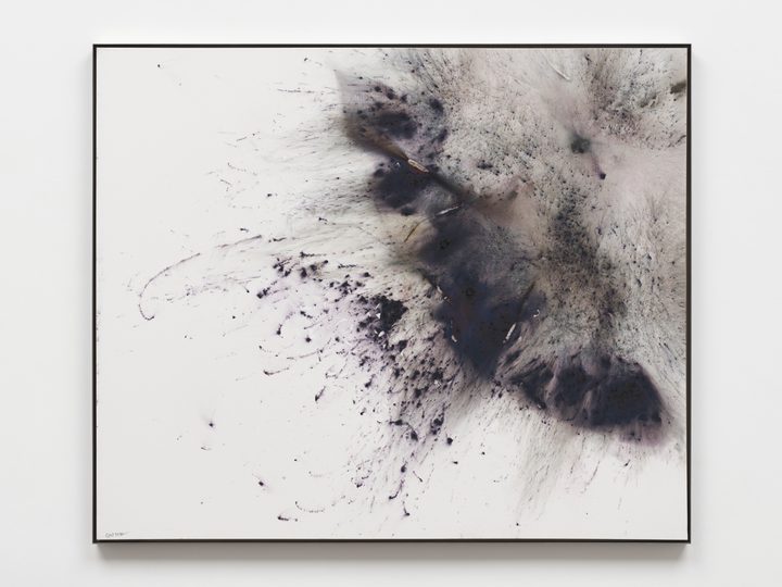 Cai Guo-Qiang — Study of Medieval No. 5