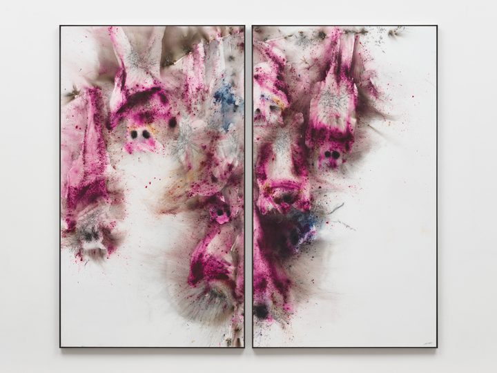 Cai Guo-Qiang — The Bats' Eyes No. 3