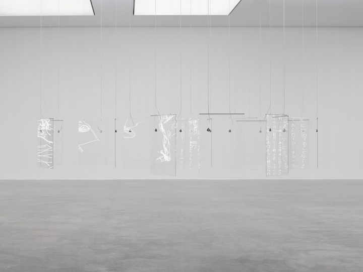 Cerith Wyn Evans - Pli S=E=L=O=N Pli - 1