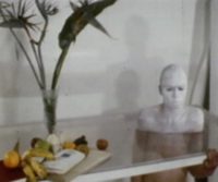 Still Life with Phrenology Head Still Life with Phrenology Head