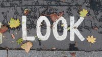 Look Look