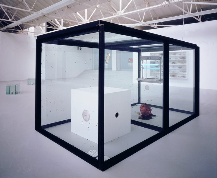 Damien Hirst — A Thousand Years