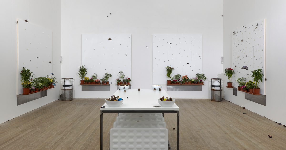 In Out Of Love White Paintings Live Butterflies By White Cube in-out-of-love-white-paintings-live-butterflies-by-white-cube