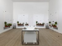 In & Out of Love (White Paintings & Live Butterflies) In & Out of Love (White Paintings & Live Butterflies)
