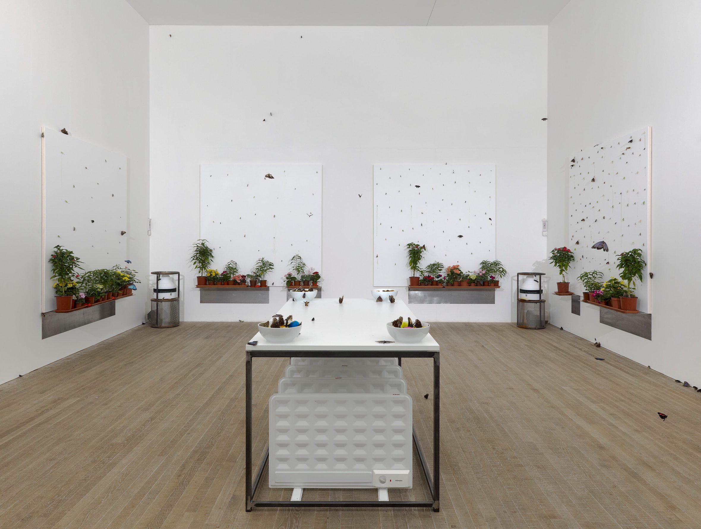 In Out Of Love White Paintings Live Butterflies By White Cube in-out-of-love-white-paintings-live-butterflies-by-white-cube