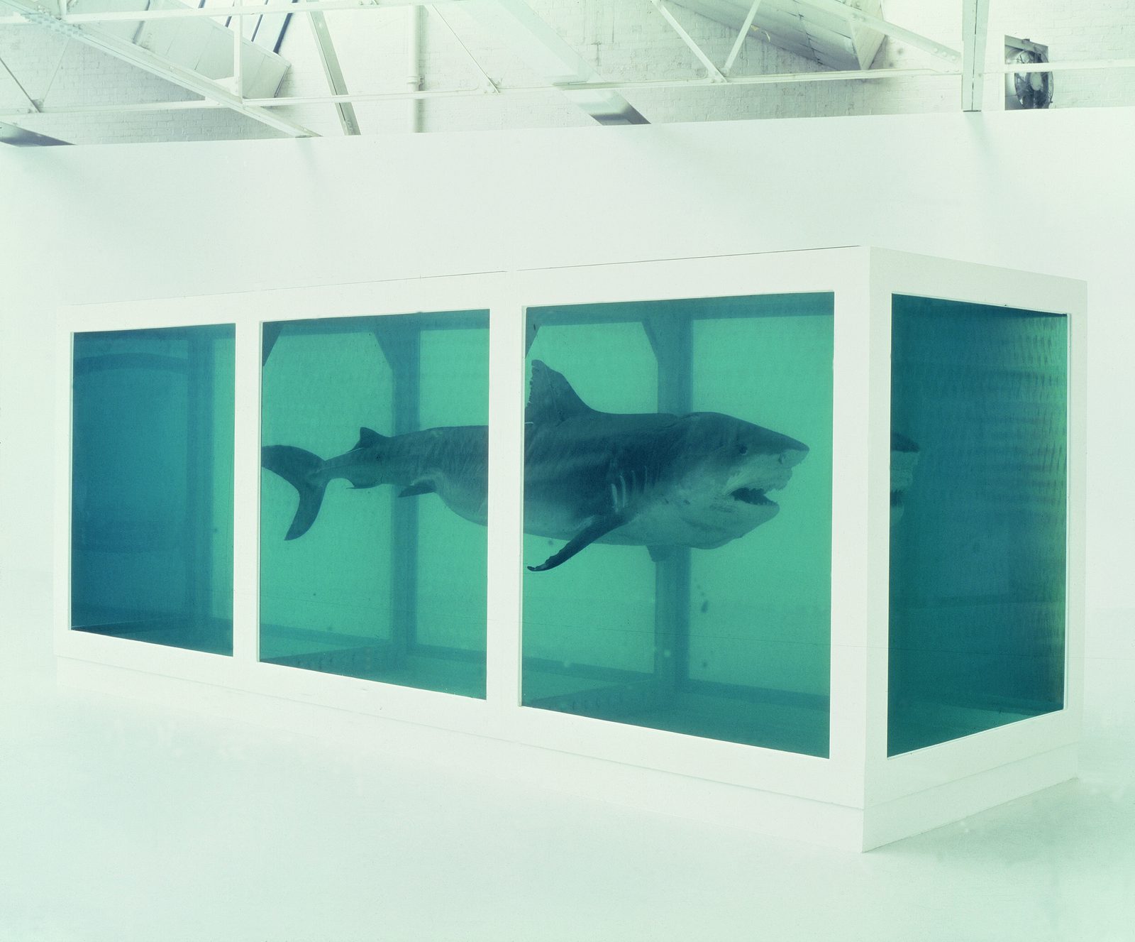 The Physical Impossibility Of Death In The Mind Of White Cube The physical impossibility of death in the mind of white cube