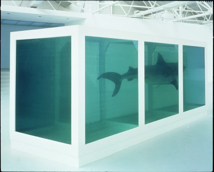 The Physical Impossibility Of Death In The Mind Of White Cube The physical impossibility of death in the mind of white cube