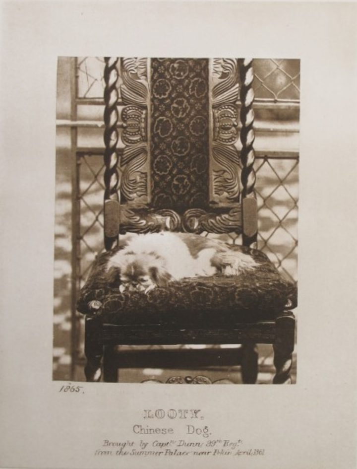 Danh Vo — Looty 1895