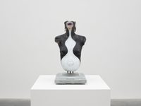 Killer Whale Killer Whale