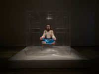 The Vibrating Man: The Fractured Prism The Vibrating Man: The Fractured Prism