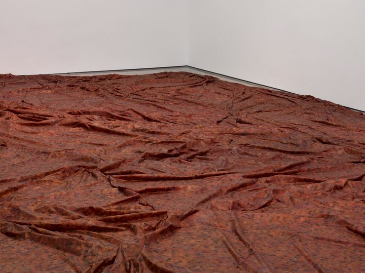 Doris Salcedo — A Flor de Piel