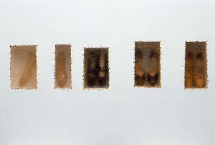 Doris Salcedo — Atrabiliarios