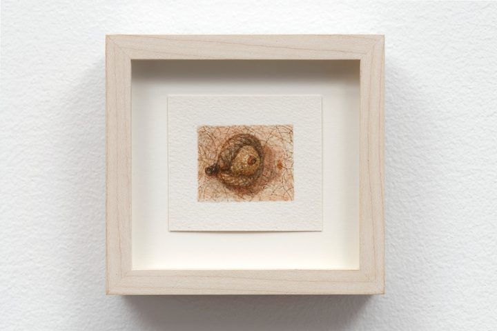 Ellen Altfest — Acorn
