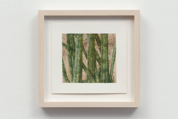 Ellen Altfest — Green Plant