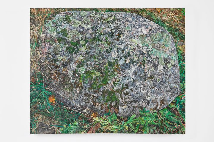 Ellen Altfest — Large Rock