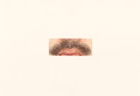Moustache Moustache