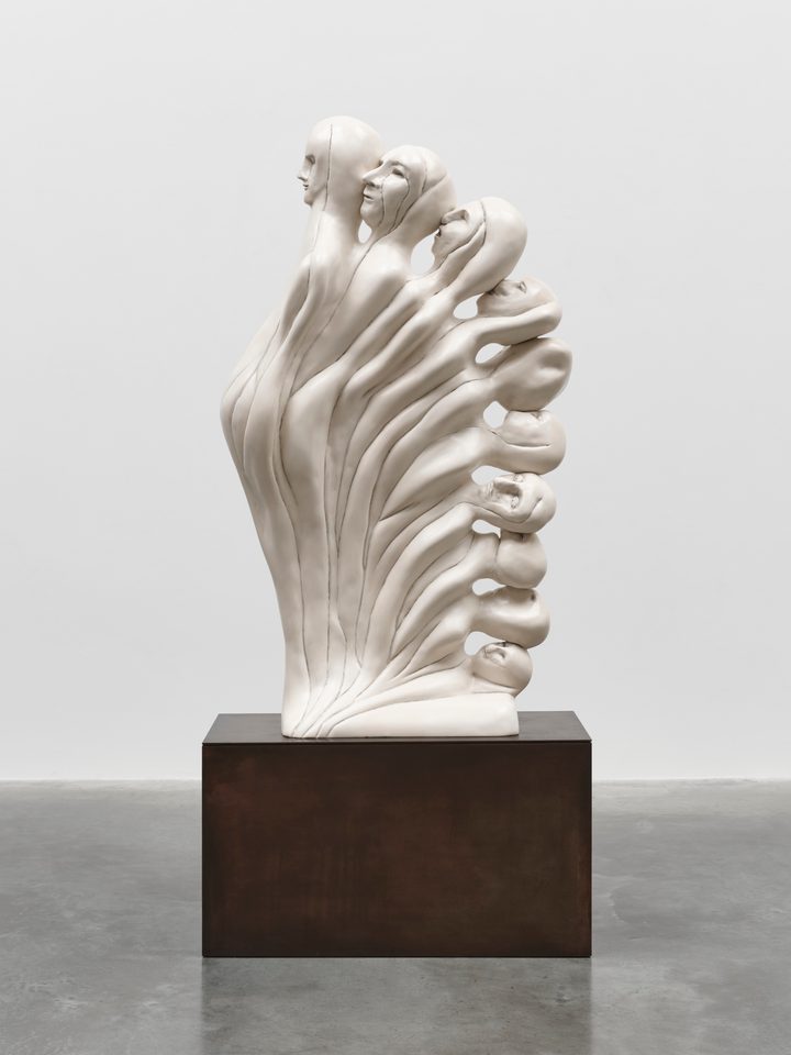 Enrico David — Assumption of we