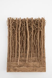 Forêt Forêt