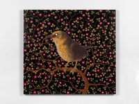 After September 29, 2021: Maui Nukupu’u Presumed Extinct After September 29, 2021: Maui Nukupu’u Presumed Extinct