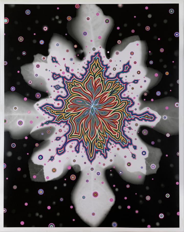 Fred Tomaselli - Bloom (Sept. 4) - 1