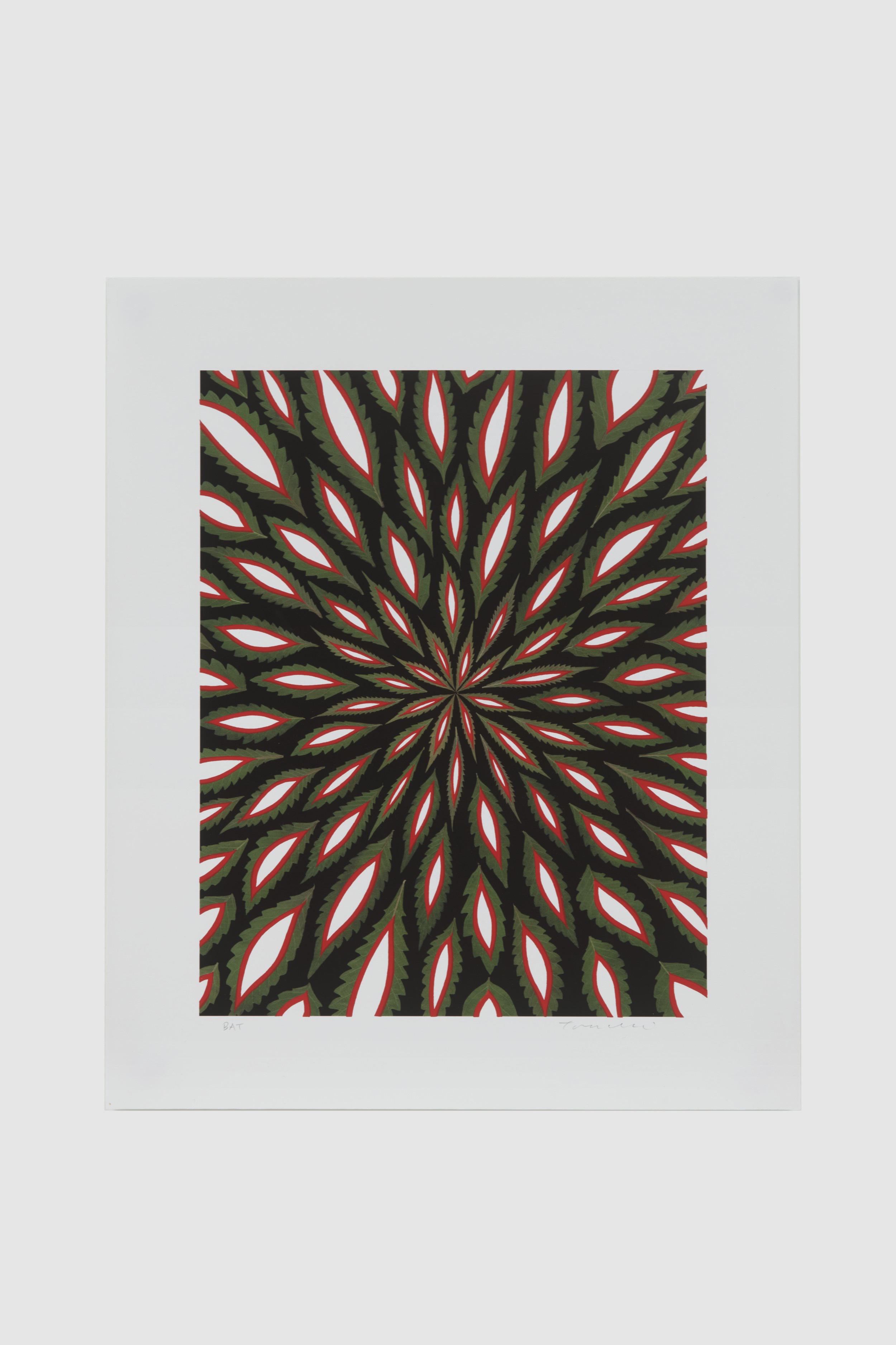 Fred Tomaselli - Scanners - 6