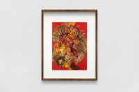 Handsome Lion Fish Handsome Lion Fish