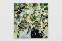 Pepper plant Pepper plant