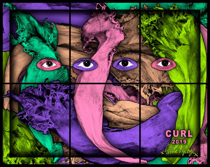 Gilbert & George — CURL