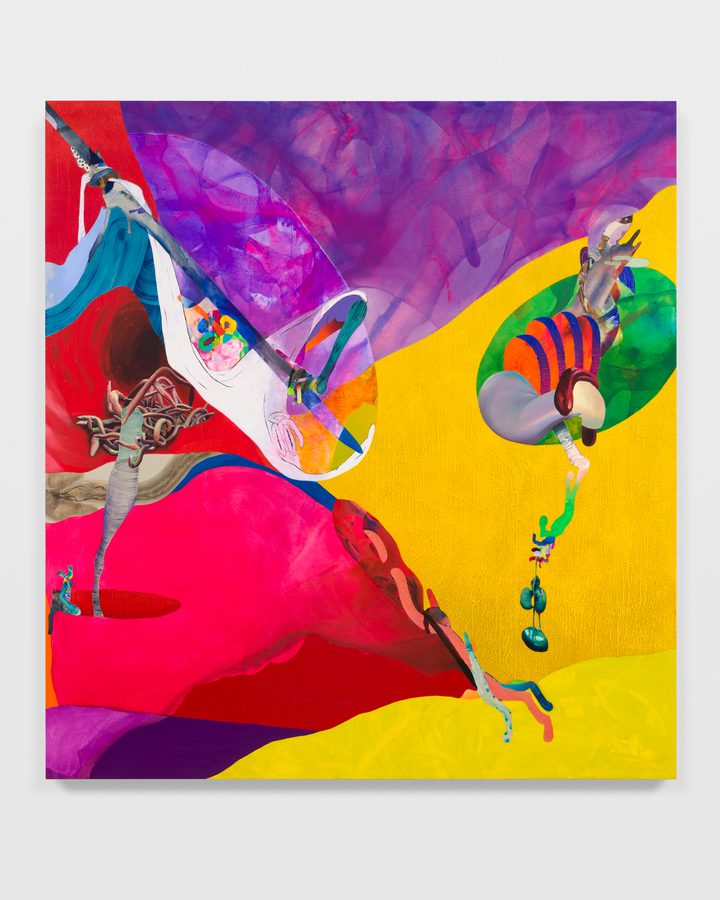 Ilana Savdie — Aggressive Mimicry