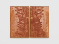 Series Biolateral 1 Series Biolateral 1