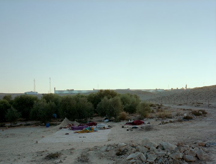 Jeff Wall — Daybreak (on an olive farm/Negev Desert/Israel)