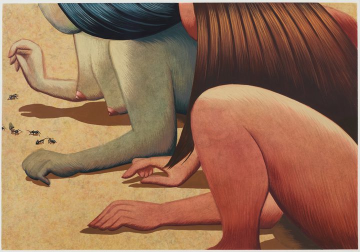 Julie Curtiss — Anthill