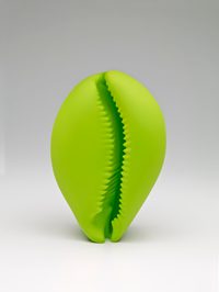 Muschel / Shell Muschel / Shell