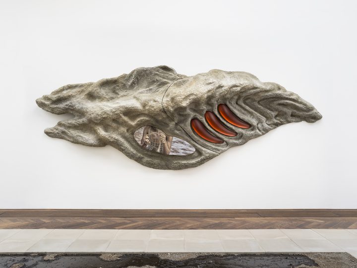 Klára Hosnedlová — Untitled (from the series GROWTH)