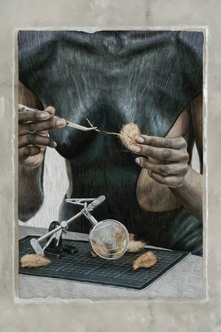 Klára Hosnedlová — Untitled