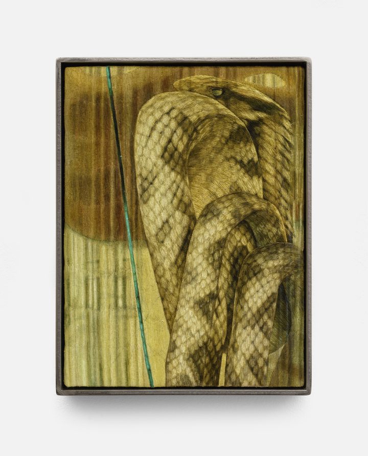 Klára Hosnedlová — Untitled